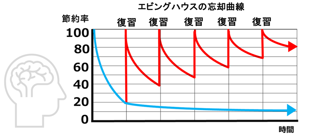 エビデングハウスの忘却曲線定着